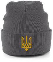 Operator Starsky Merch Beachfield Beanie Trident of Ukraine