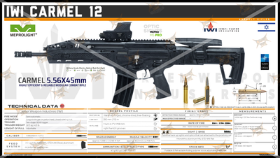 IWI CARMEL 12 Gun Spec Data Premium Wall Art Poster (Choose Size)