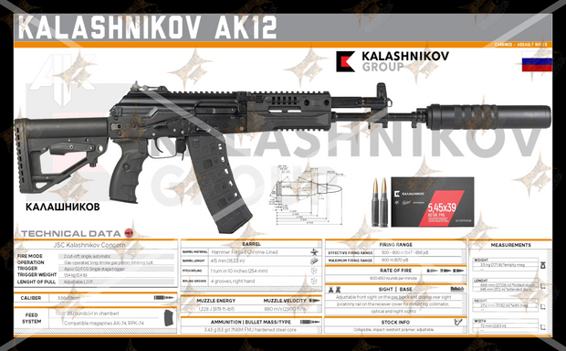 AK-12 Gun Spec Data Premium Wall Art Poster (Choose Size)