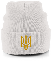 Operator Starsky Merch Beachfield Beanie Trident of Ukraine
