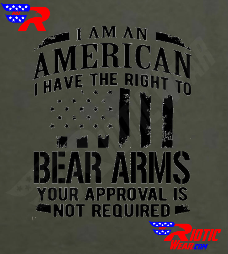 [[ Right To Bear Arms ]]